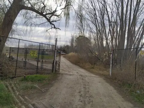 Ruta 100