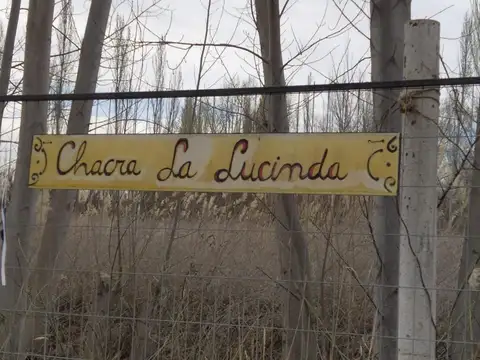 Venta Terreno " Colonia LA LUCINDA" Cipolletti Rio Negro