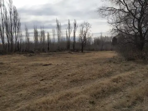 Terreno en Venta en Cipolletti, USD 45.000