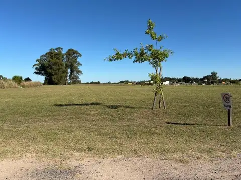 Venta. Terreno. El Espinillo. Carlos Keen. Lujan