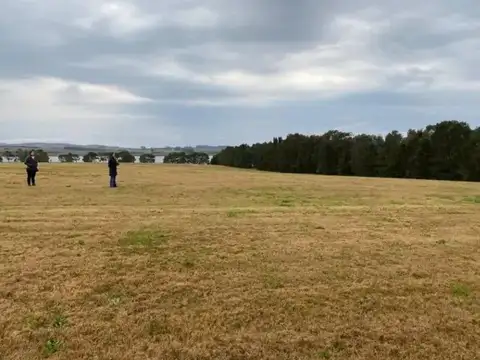 Terreno en Venta de 5770,0 m2