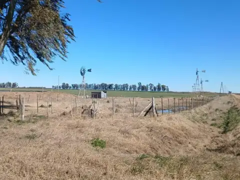 Campo - Rufino