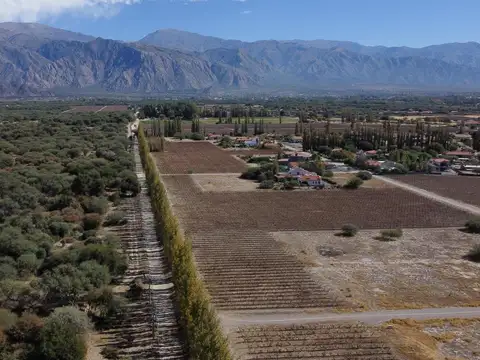 Cafayate
