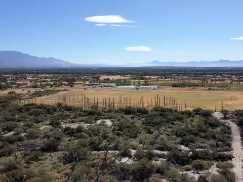 Campo de 77 has En Venta