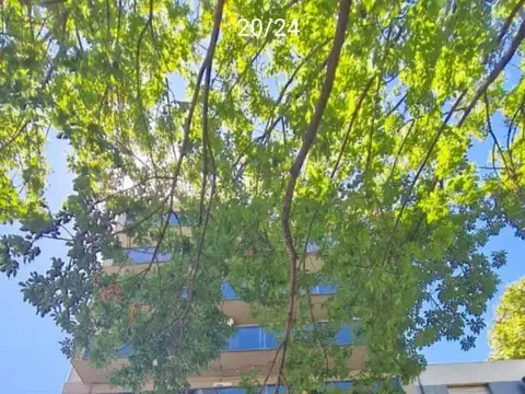 alquiler Belgrano 3 ambientes a nuevo con balcon