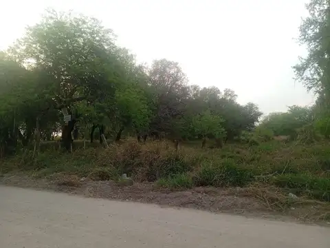 Camino Vecinal