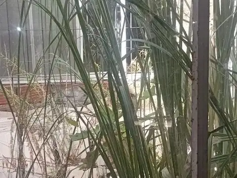 Terreno en Venta de 492,0 m2