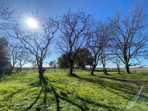 Terreno en Venta de 20000,0 m2