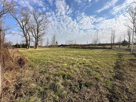Terreno en Venta en Cañada de Gomez, USD 48.000