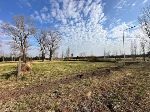Terreno en Venta 38  mts Fondo