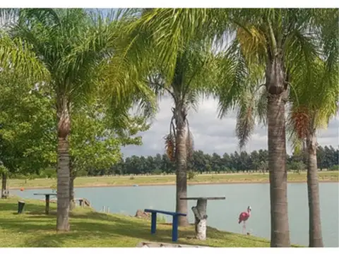 Venta 102 Hectareas Con Proyecto Avanzado Sobre Ruta 6 - San