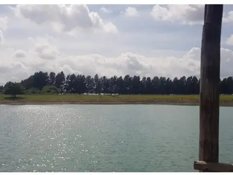 Venta 102 Hectareas Con Proyecto Avanzado Sobre Ruta 6 - San