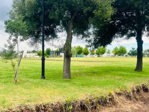 Terreno en Venta de 934,0 m2