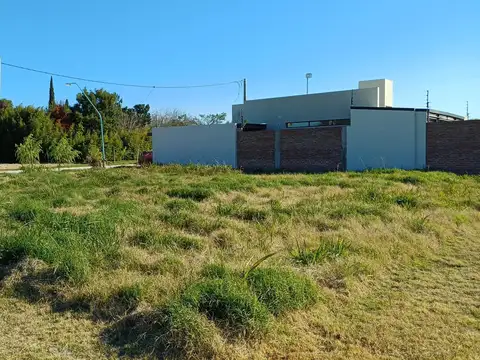 Zavalla entre Alsina y Libertad