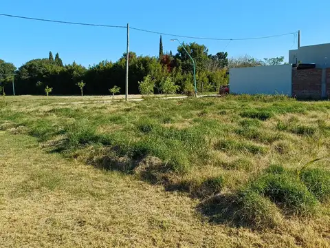 Zavalla entre Alsina y Libertad