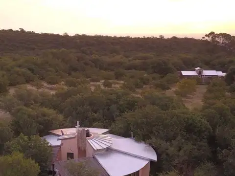 Camino Público Sn