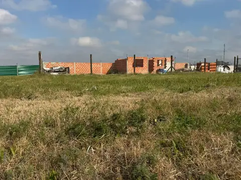 Barrio  abierto Las Rosas