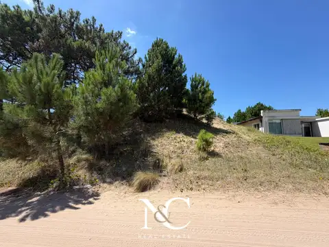 Deportiva Lote al  al 100