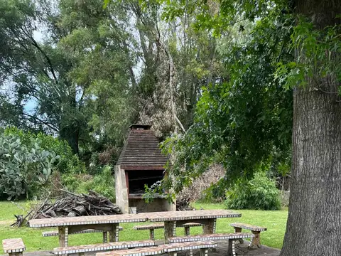 Estanislao del Campo 100