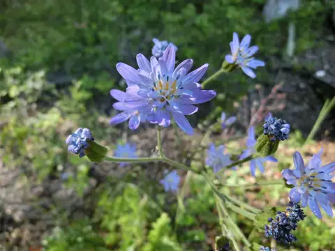 Estancia a orillas del Lago 2