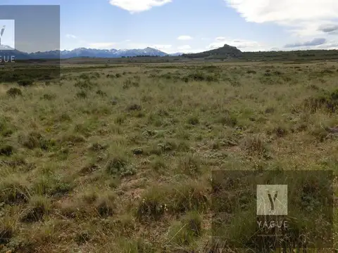 Campo - Rio Pico - 1.600 has con costa de Lago