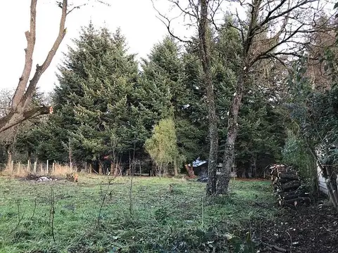 Terreno en Venta 31  mts Fondo