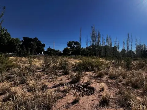 roque saenz peña 8900