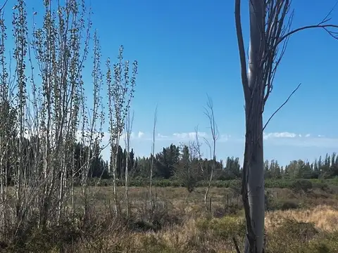 Terreno en Venta de 886,0 m2