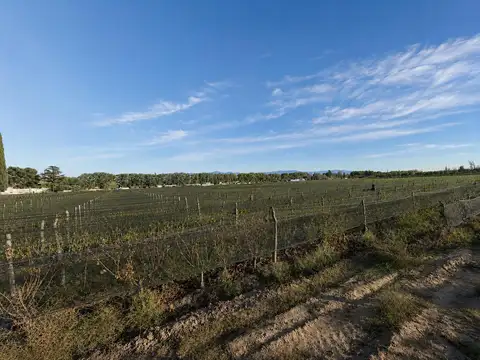 Terreno en Venta de 1000,0 m2