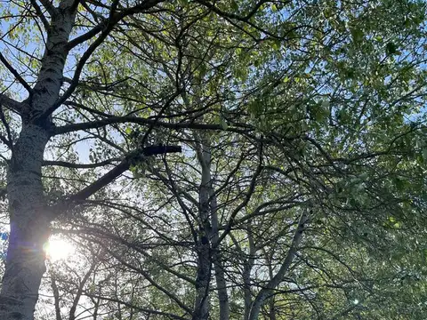 Venta Lote  Club de Campo La Ranita  | VCO Propiedades