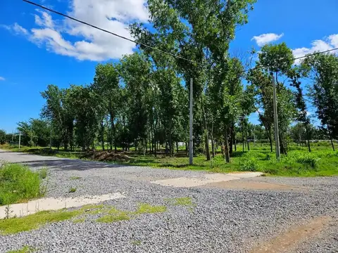 Terreno En Venta Loma Verde