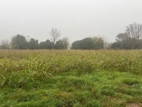 Terreno en Venta en Villa Gran Parque, USD 57.900