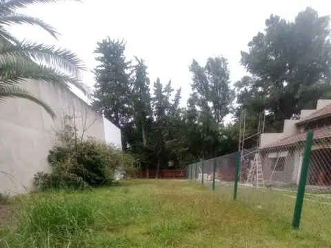 Zapiola 600