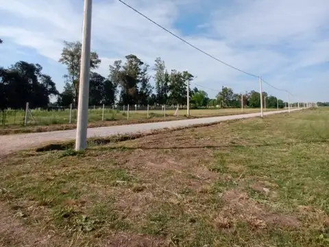 Baldomero F Moreno 0