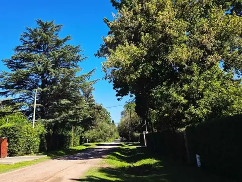La Golondrina 1200