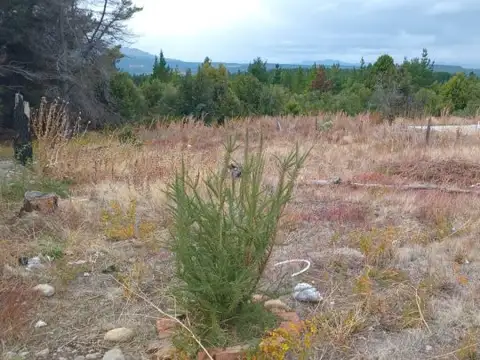 SE VENDE LOTE EN EPUYEN-CHUBUT