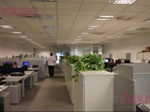 Local en Microcentro