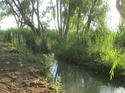 Campo con vertiente en Venta Tunuyán Valle de Uco