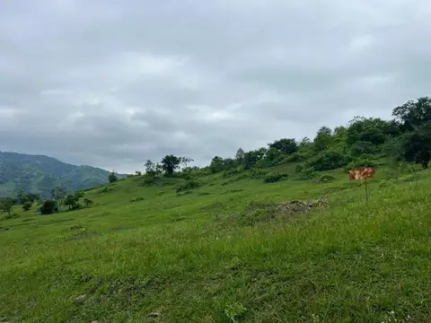Las Corzuelas, La Hoyada