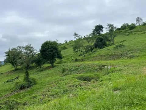 Lote La Hoyada 