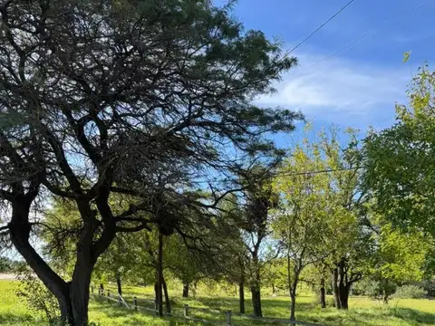 Altos Del Bosque