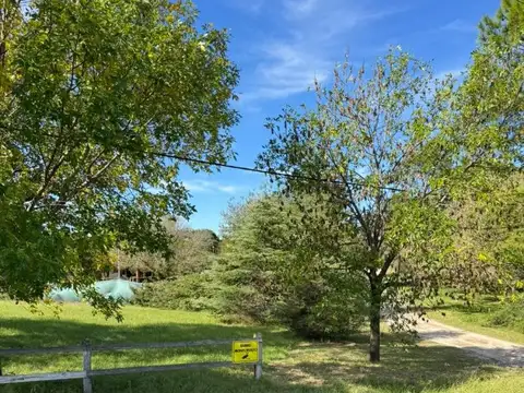 Altos Del Bosque