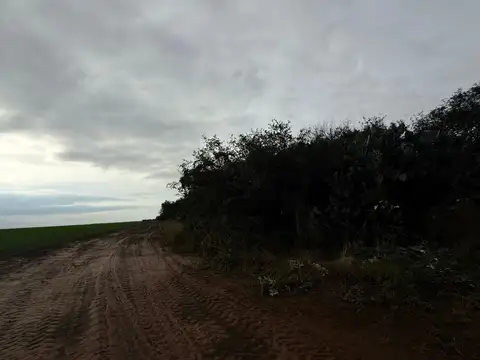 Ruta Provincial 27