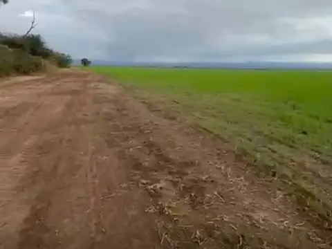Ruta Provincial 27