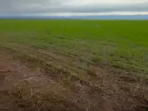 Terreno con gran potencial Los Altos