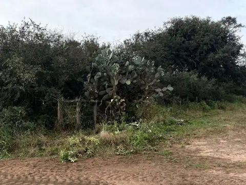 Terreno con gran potencial Los Altos