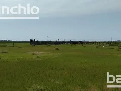 440 ha Ganaderas en Diaz