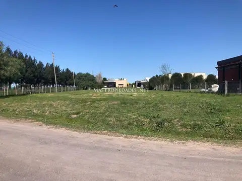 Terreno en Venta 20  mts Fondo