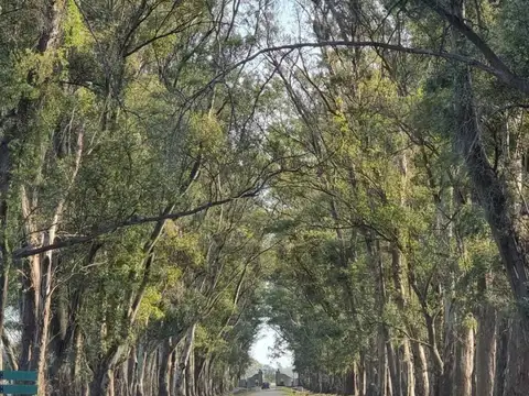 Terreno en Venta de 2145,84 m2
