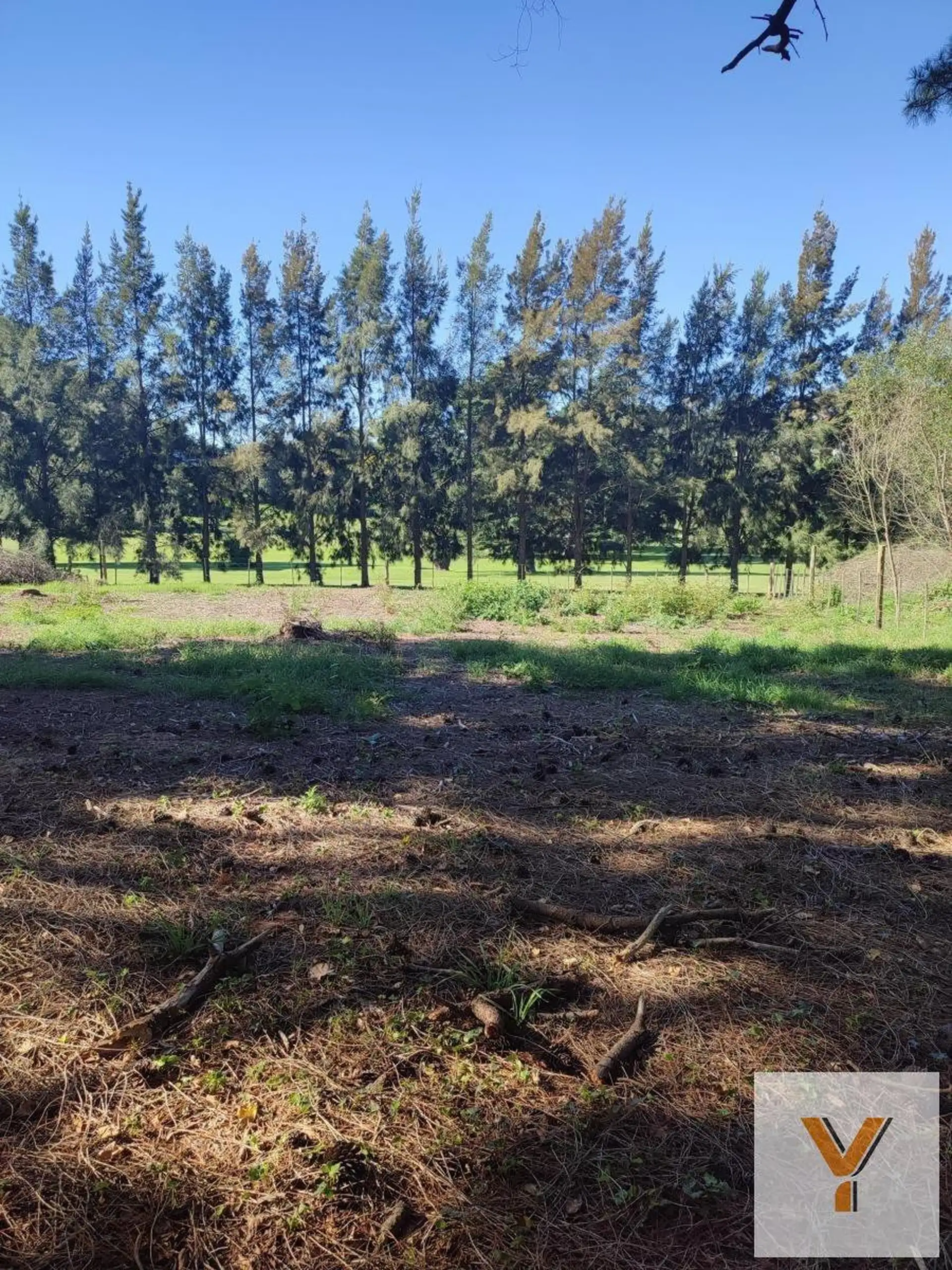 Terreno en Venta - - 745.5mts - Mar Del Plata